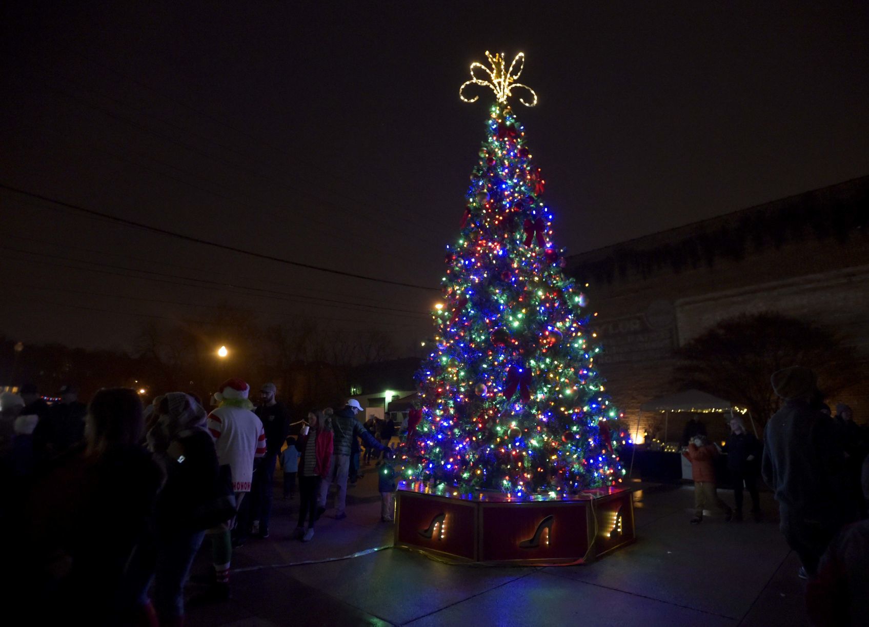 Christmas Tree Lighting 09